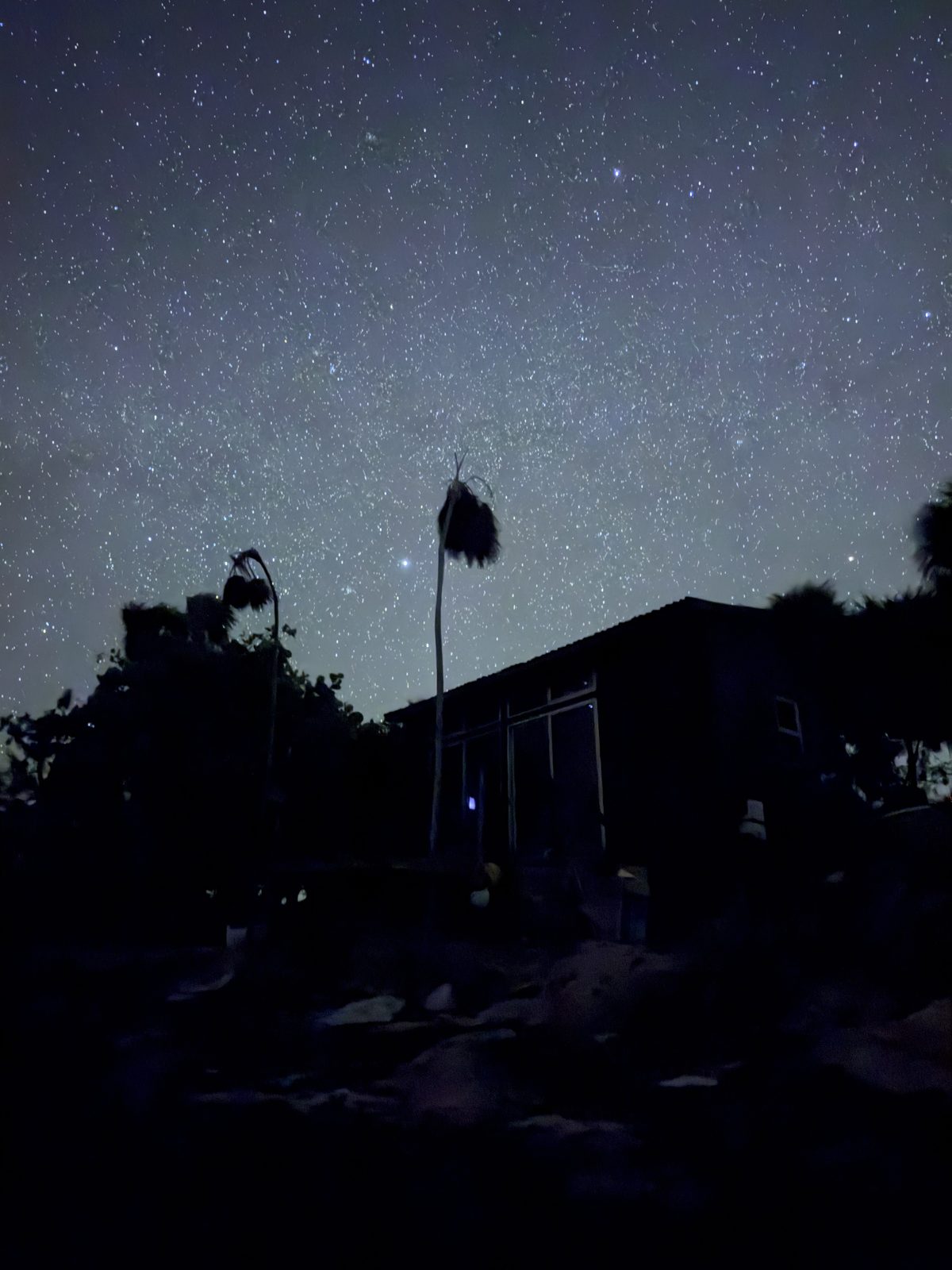 The casa at night, a single palm silhouetted against a sky packed with stars.