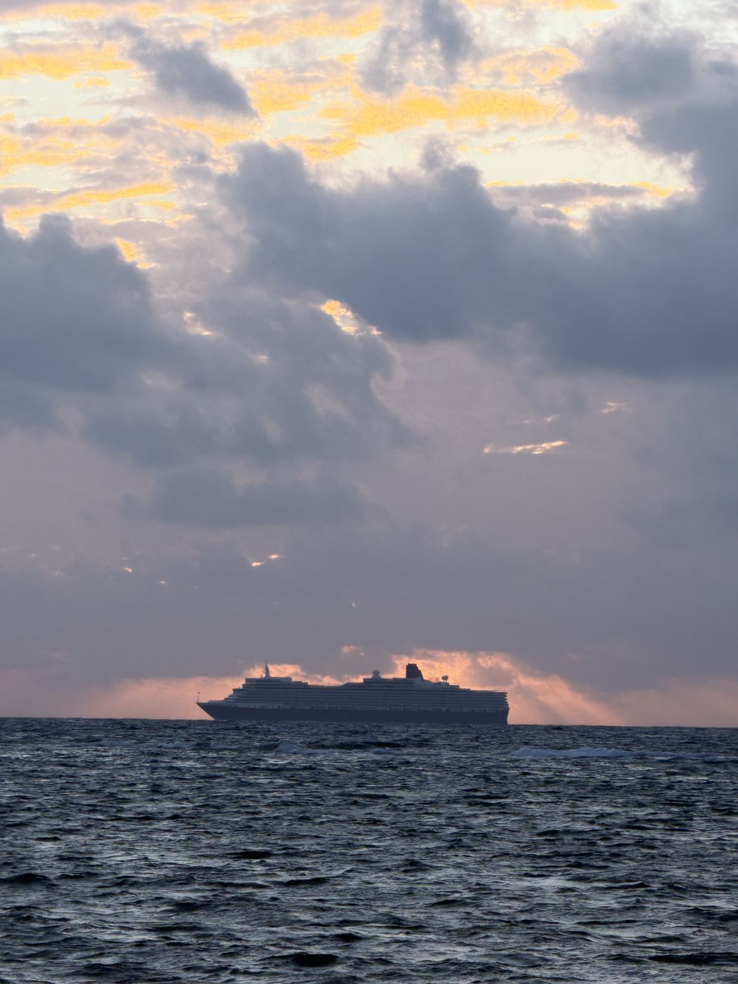 Holland America or Cunard