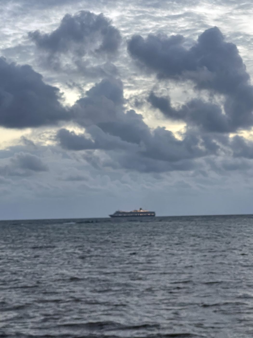 Holland America likely