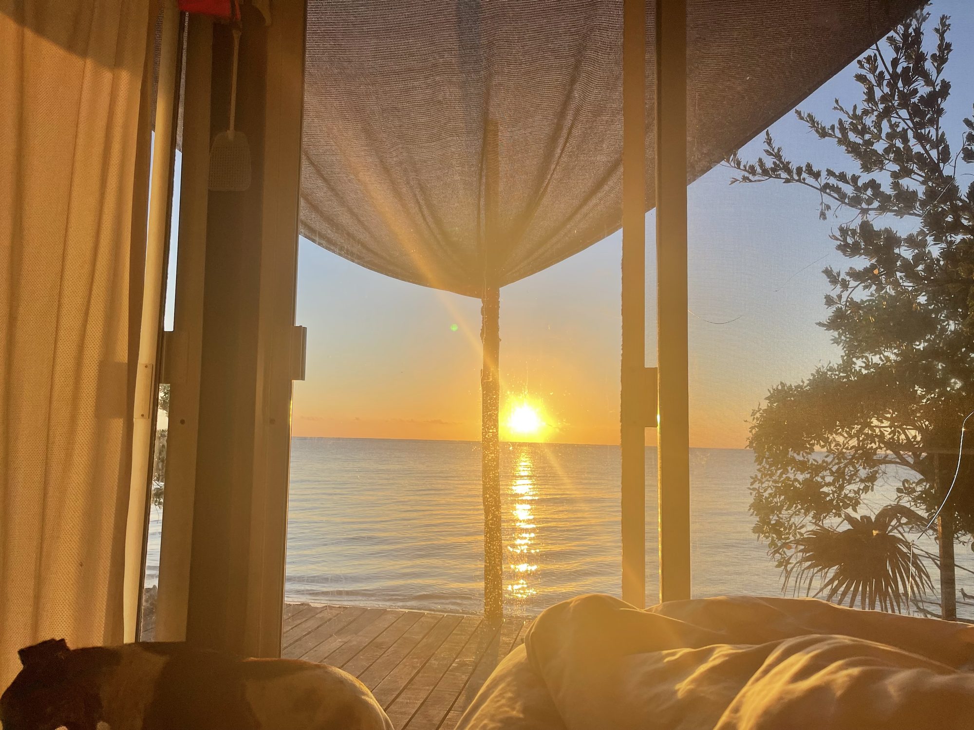 Sunrise over the ocean, framed by white curtains and the wooden posts of the casa, seen from the bed.